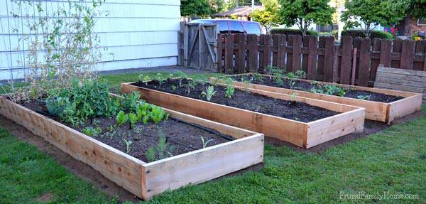 We used cedar to build our raised bed. They should last quite a while and look great too. 