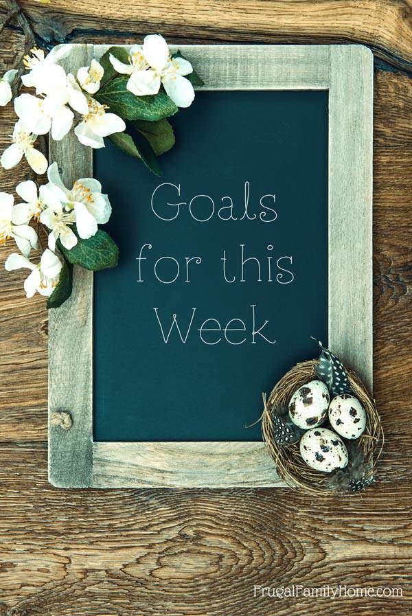 My goals for this week and how last week went too.