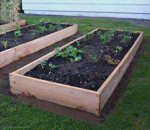 Rebuilding a Bed Garden, Raised Beds | Frugal Family Home