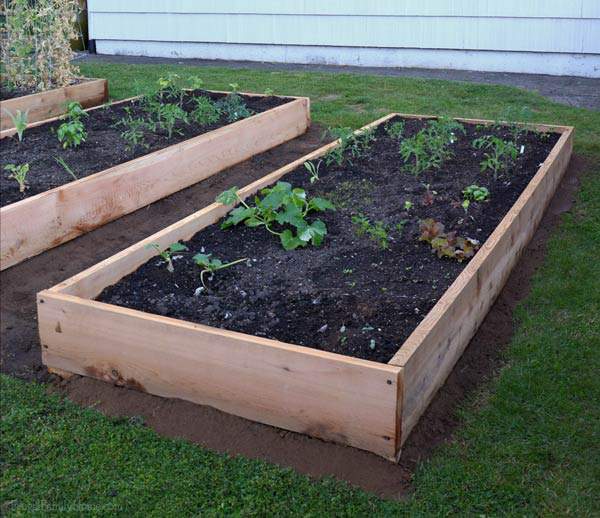 Tips for replacing the old worn out boards on your raised beds. 