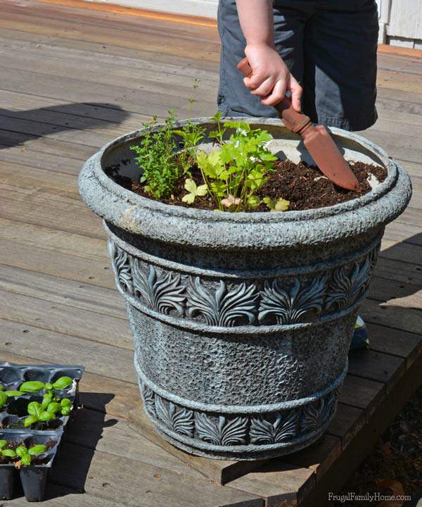 How to make a container herb garden with your kids. 