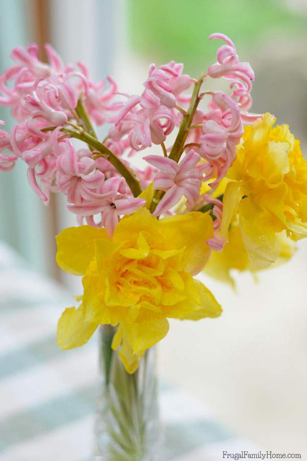 The flowers I cut to preserve them from the rain.