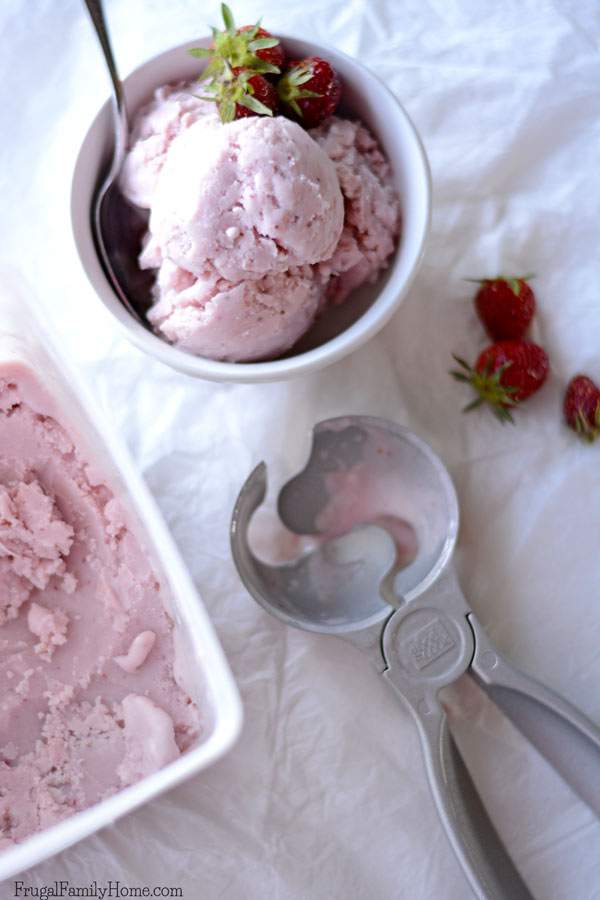 When the it gets hot in the summer there is no better dessert to have than ice cream. I’ve gone through a lot of dairy free recipes to find a good one for ice cream. I do believe this is the best strawberry dairy free ice cream recipe around. It’s easy to make with a blender and smooth and creamy too.