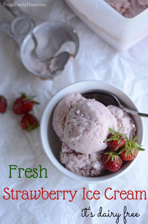 Dairy Free Ice Cream Recipe, Fresh Strawberry | Frugal Family Home