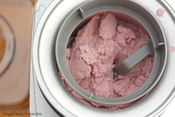 The Dairy-Free Ice Cream Maker You Need for Summer