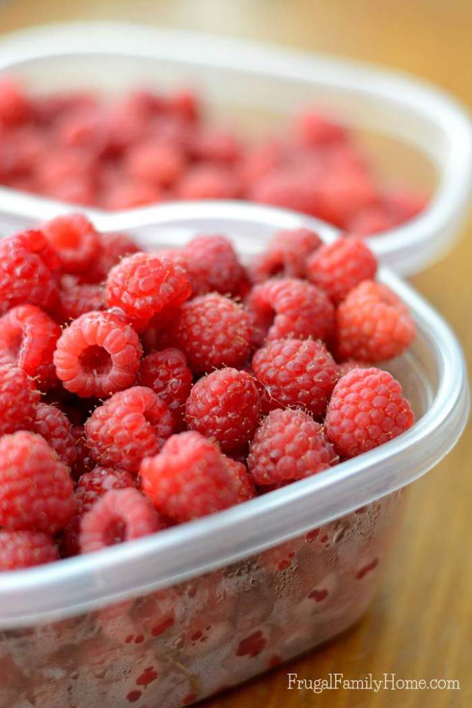 Raspberry Freezer Jam Recipe, with Video Tutorial Frugal Family Home