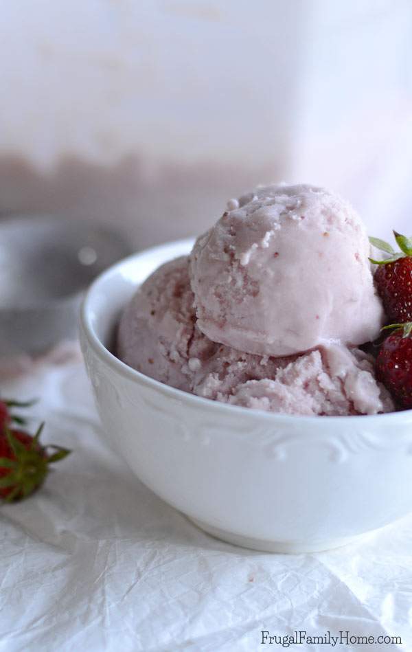 Whenit gets hot in the summer there is no better dessert to have than ice cream. I’ve gone through a lot of dairy free recipes to find a good one for ice cream. I do believe this is the best strawberry dairy free ice cream recipe around. It’s easy to make with a blender and smooth and creamy too. 