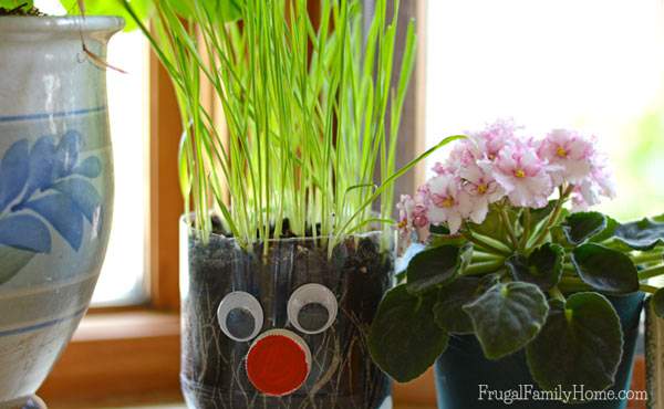 Keep the summer boredom away with this fun diy kids craft. This is an easy DIY chia pet that you can make with things you probably already have on hand. Plus you don’t have to use chia seeds. We used wheat grass instead and it turned out so cute. 