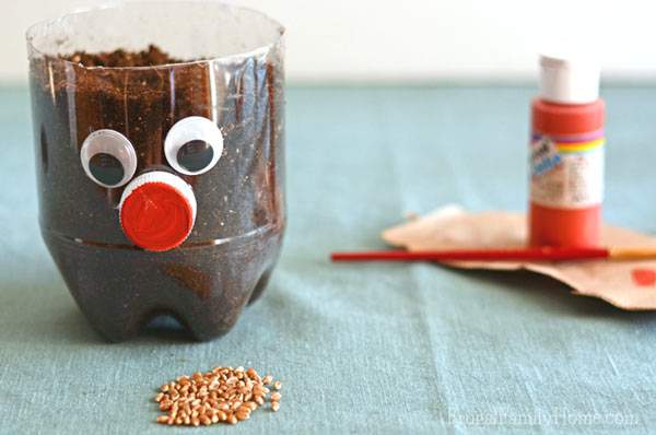 Make Your Own Chia Pet