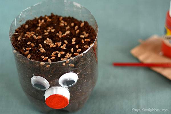 Keep the summer boredom away with this fun diy kids craft. This is an easy DIY chia pet that you can make with things you probably already have on hand. Plus you don’t have to use chia seeds. We used wheat grass instead and it turned out so cute. 