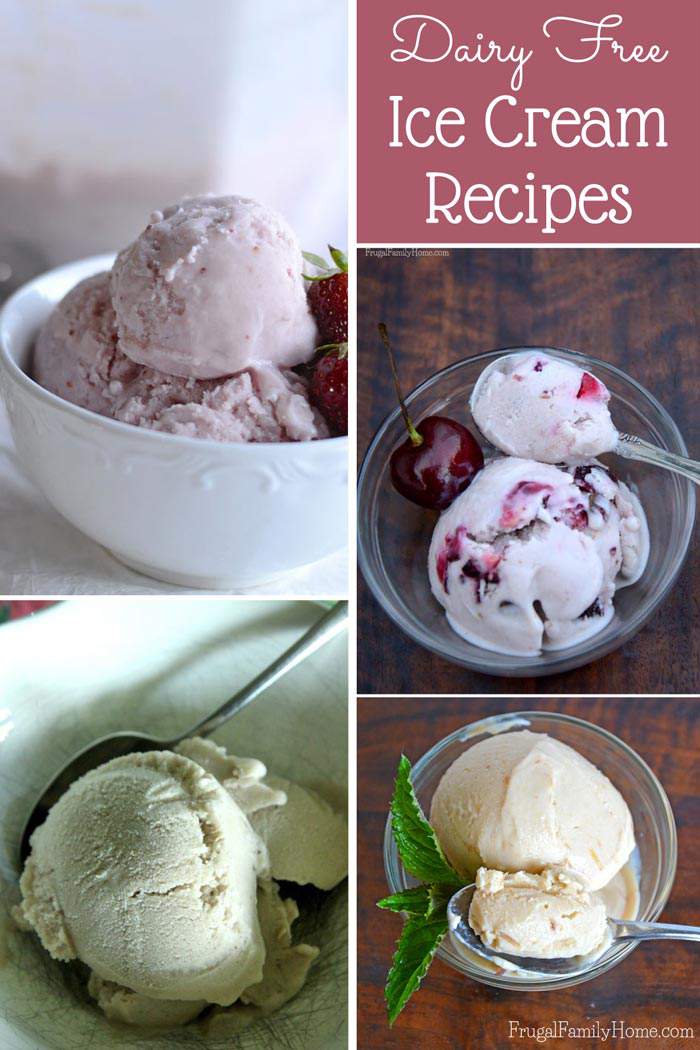 Homemade Dairy Free Ice Cream Recipes