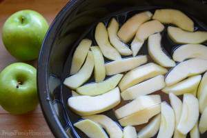 How to Freeze Apples | Frugal Family Home