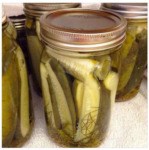 I canned 21 jars of dill pickles today. 