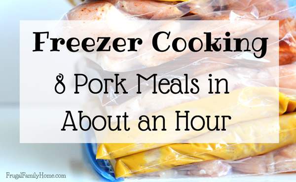 If you have super busy days like me, I know you’ll be thankful to have freezer meals waiting for you in the freezer. I don’t like to do big cooking days, but instead, I do batch freezer cooking to save time and money. I’ve got 7 recipes to make 8 freezer pork meals in about an hour.