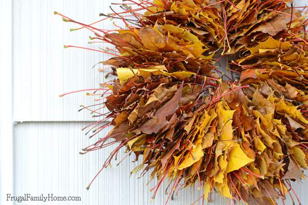 Need a cheap and easy Fall wreath? Try making these leaf wreath for your front door. It takes about an hour and two things, one of which is leaves. It's a great fall activity for the kids to help with too.