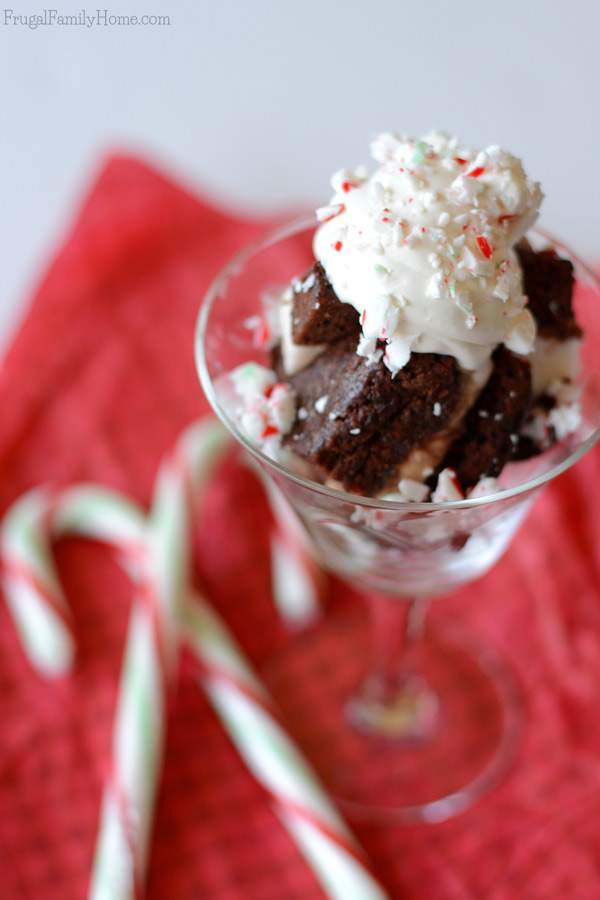 Need a delicious dairy-free dessert to serve? These easy to make frozen brownie sandwiches are dairy free. They have two flavors of frozen dessert sandwiched between a dairy free brownie. Make them fancier by cutting them up and adding them to a stemmed glass. Sprinkle with nutmeg for Thanksgiving or with crushed candy canes for Christmas. They are sure to be a delicious dessert anyway you make them. #DairyFree4All [AD]