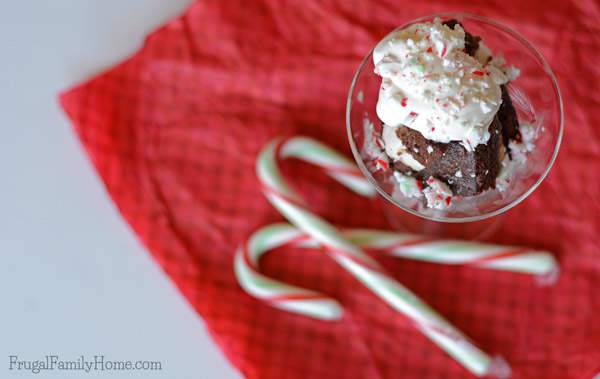 Need a delicious dairy-free dessert to serve? These easy to make frozen brownie sandwiches are dairy free. They have two flavors of frozen dessert sandwiched between a dairy free brownie. Make them fancier by cutting them up and adding them to a stemmed glass. Sprinkle with nutmeg for Thanksgiving or with crushed candy canes for Christmas. They are sure to be a delicious dessert anyway you make them. #DairyFree4All [AD]