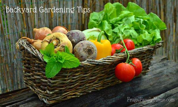 These are great tips for planning your garden. If you are a just beginning to garden you need to read these tips before you start. Having a plan for your backyard garden can make a big difference in how well it grows. I know I learned a few things.