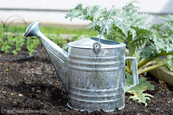 Don’t waste money on gardening items you’ll never use. Instead in invest in tools, you’ll use again and again. I’m sharing my 5 favorite gardening tools right now. I’m sure you’ll find something that will work in your backyard garden too. Plus links to more great gardening ideas.
