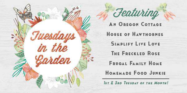 The Tuesdays in the Garden Blog Hop the 1st and 3rd Tuesday of the month.