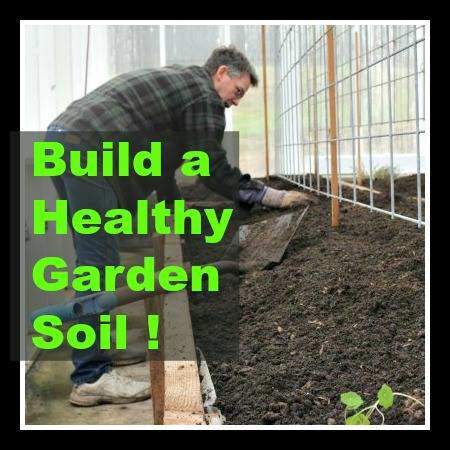 How to build a healthy garden soil.