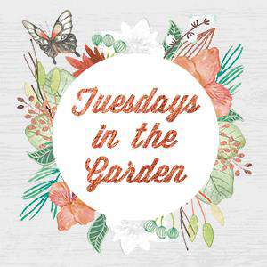 Tuesdays in the Garden, great tips from top garden bloggers