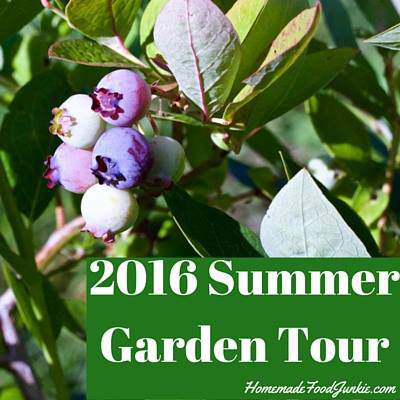Summer Garden Tour from Diane