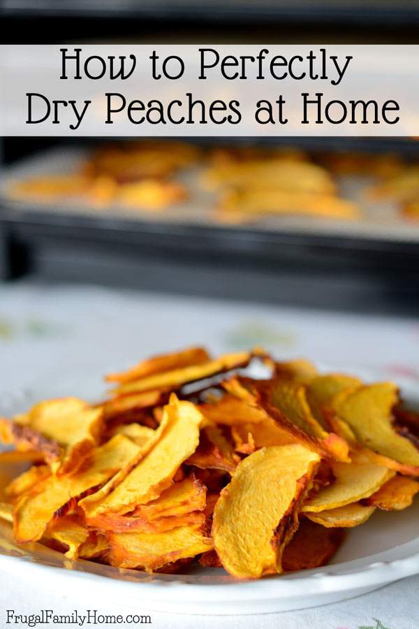 This is a great step by step tutorial for how to make dried peaches. Did you know you can dry peaches in a dehydrator but you can also dehydrate them in an oven? Dried food is great for food storage as it doesn’t take up as much room as canned food. Come see how to easily dry peaches at home. They make a great snack and it’s an easy DIY project to try when you have lots of peaches on hand. 