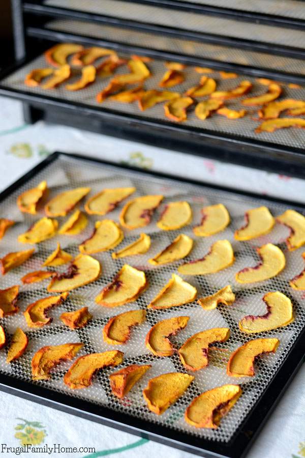 This is a great step by step tutorial for how to make dried peaches. Did you know you can dry peaches in a dehydrator but you can also dehydrate them in an oven? Dried food is great for food storage as it doesn’t take up as much room as canned food. Come see how to easily dry peaches at home. They make a great snack and it’s an easy DIY project to try when you have lots of peaches on hand. 