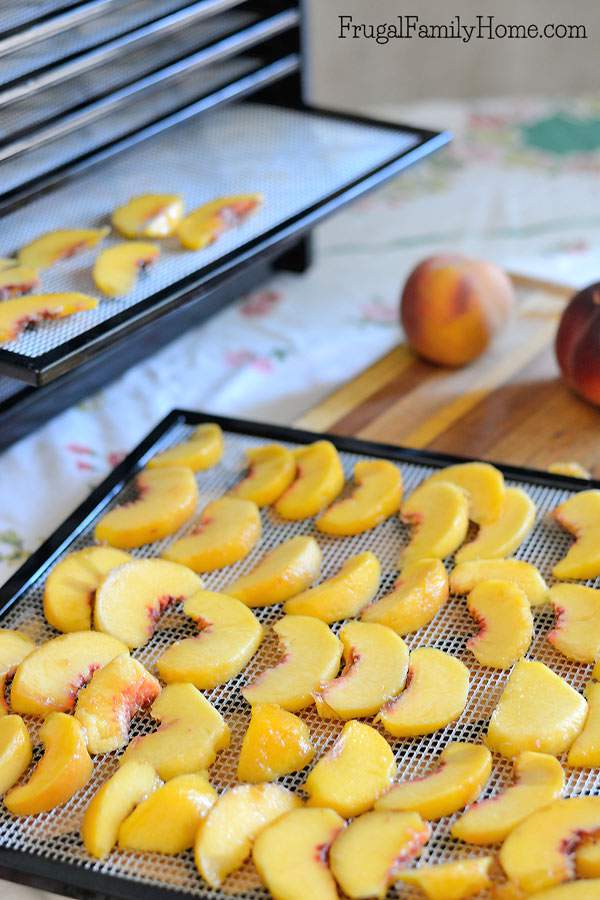 This is a great step by step tutorial for how to make dried peaches. Did you know you can dry peaches in a dehydrator but you can also dehydrate them in an oven? Dried food is great for food storage as it doesn’t take up as much room as canned food. Come see how to easily dry peaches at home. They make a great snack and it’s an easy DIY project to try when you have lots of peaches on hand. 