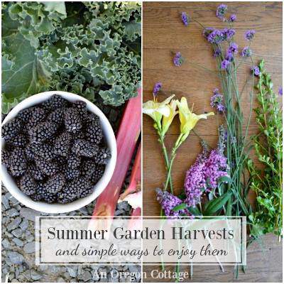 Jami's Summer Garden