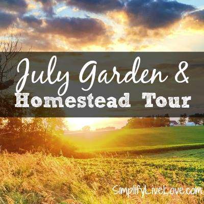 Michelle's Summer Garden Tour