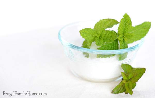 I love this mint simple syrup. It so easy to make and so versatile too. This simple syrup adds a little sweetness and a hint of mint flavor too. It has so many uses, add it to ice tea, mojitos, and it even makes water tastes better. It’s the perfect sweetener for summer drinks. Click through to see how to make this mint simple syrup to use in all kinds of drinks.