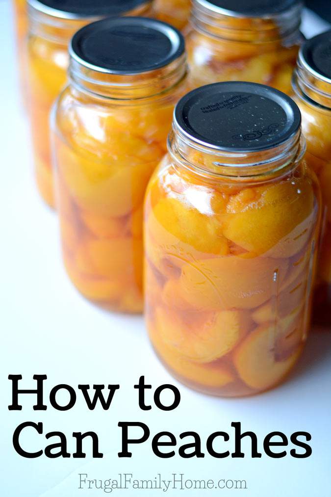 Peaches they are so delicious in season but out of season peaches aren't that great. That's why I love to preserve peaches in the summer when they taste so great to enjoy during those winter months. If you've never canned peaches you are in luck. This is a great step by step tutorial for how to can peaches at home. It not only includes the steps for how to make canned peaches but where to find peaches and what type to use, plus all the products you'll need to can peaches. It's really fairly simple to can summer fruit to use later. Come see how to can peaches.