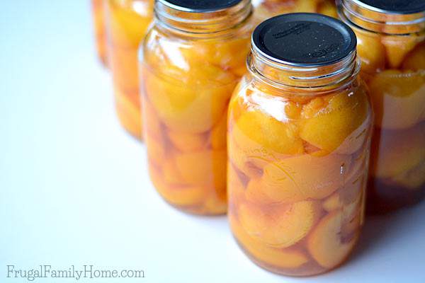 Peaches they are so delicious in season but out of season peaches aren't that great. That's why I love to preserve peaches in the summer when they taste so great to enjoy during those winter months. If you've never canned peaches you are in luck. This is a great step by step tutorial for how to can peaches at home. It not only includes the steps for how to make canned peaches but where to find peaches and what type to use, plus all the products you'll need to can peaches. It's really fairly simple to can summer fruit to use later. Come see how to can peaches.