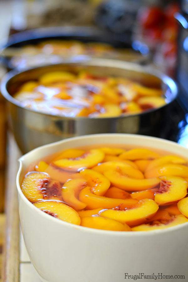 Peaches they are so delicious in season but out of season peaches aren't that great. That's why I love to preserve peaches in the summer when they taste so great to enjoy during those winter months. If you've never canned peaches you are in luck. This is a great step by step tutorial for how to can peaches at home. It not only includes the steps for how to make canned peaches but where to find peaches and what type to use, plus all the products you'll need to can peaches. It's really fairly simple to can summer fruit to use later. Come see how to can peaches.