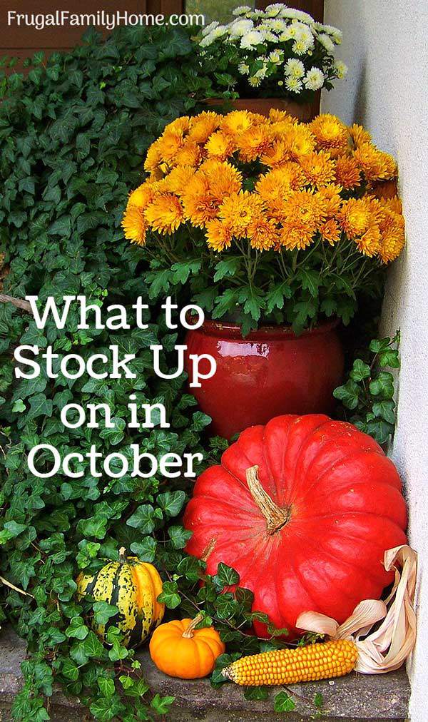 What to buy in October- a quick list of items that are on sale marked down, or on clearance in October. Save money by stocking up on items while they are on sale that you need.
