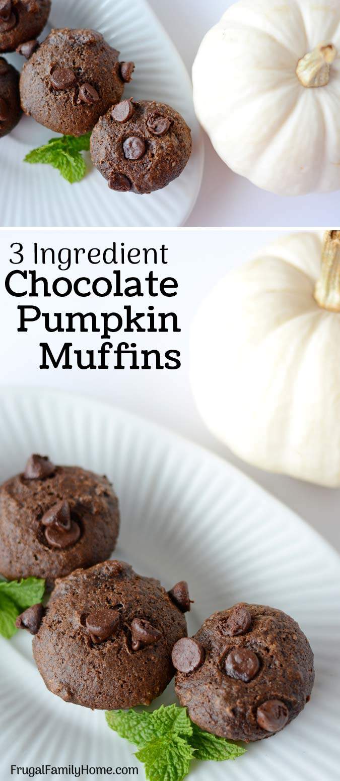 This is an easy and healthy recipe for chocolate pumpkin muffins. If you leave out the chocolate chips they become weight watcher friendly too. I love how easy they are to make and how moist and delicious they always turn out. Come watch the video and see how easy they are to make.