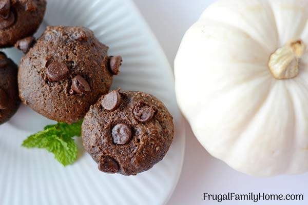 This is an easy and healthy recipe for easy pumpkin muffins. If you leave out the chocolate chips they become weight watcher friendly too. I love how easy they are to make and how moist and delicious they always turn out. Come watch the video and see how easy they are to make.