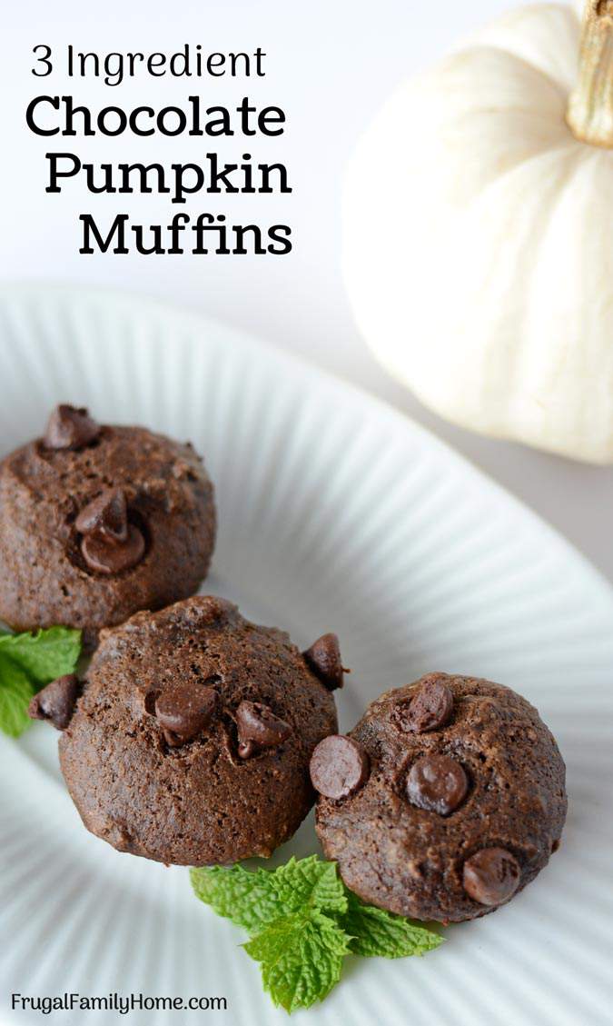 This is an easy and healthy recipe for easy pumpkin muffins. If you leave out the chocolate chips they become weight watcher friendly too. I love how easy they are to make and how moist and delicious they always turn out. Come watch the video and see how easy they are to make.