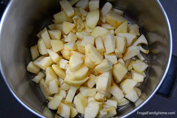 A step by step tutorial on how to make homemade applesauce. Hint, it's easier than you might think.