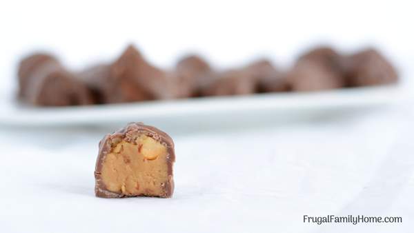 chocolate-covered-peanut-butter-balls-upclose-hort