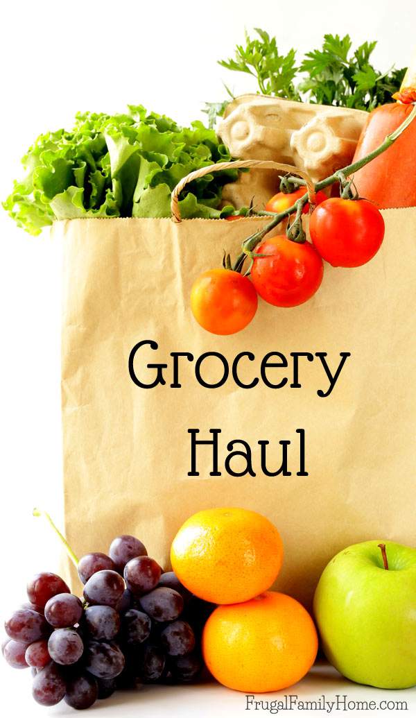 Budget Grocery Haul, Under $30 Haul