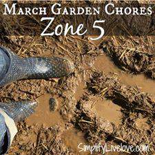 Zone 5 Chores