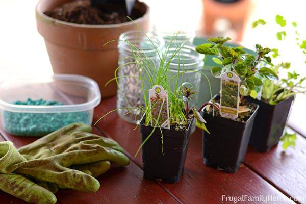 An easy DIY windowsill herb garden. This window sill herb garden is perfect to grow your herbs in your kitchen or apartment. There’s also ideas for pots to use instead of mason jars too.