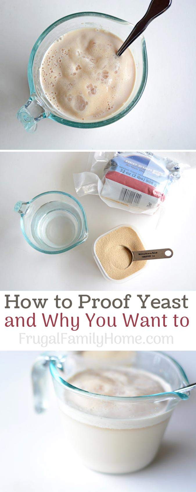 Bread Baking 101, How to proof yeast and why you want to. Learn why it's important to proof when working with yeast. I've included a video too.