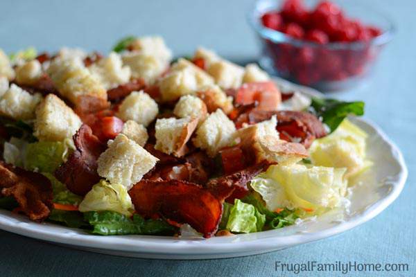 Make this easy BLT salad recipe for your family on a hot summers day. It’s quick to make delicious to eat. Even our meat loving family members gobble it up. You can make it healthy too by using turkey bacon instead of regular bacon. 