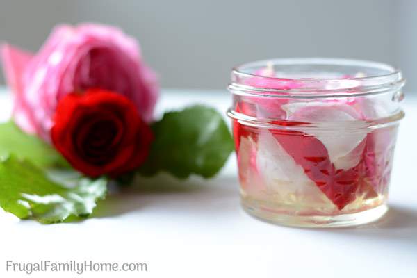How to make homemade rose oil. This is an easy DIY recipe for making your own rose oil at home. It’s easier than you might think.