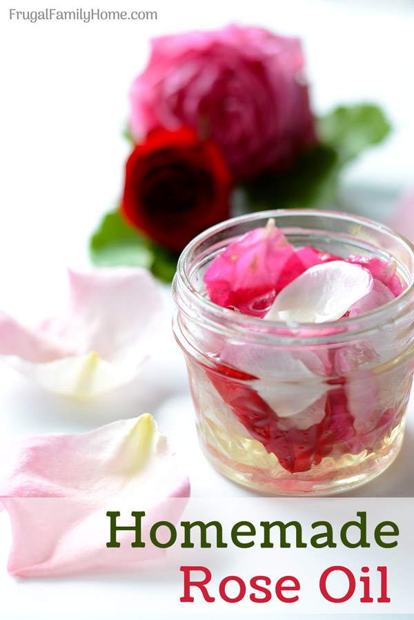 How to make homemade rose oil. This is an easy DIY recipe for making your own rose oil at home. It’s easier than you might think.