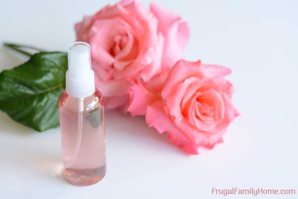 Make your own homemade rose water to pamper your skin. This is a super easy beauty DIY project. It’s so easy you’ll wonder why you haven’t done it before. Skip the expensive rose water at the store and make your own with this simple rose water recipe.